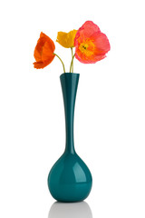 Obraz premium Poppy.