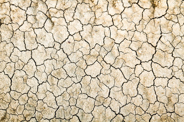 Cracked dry land without water