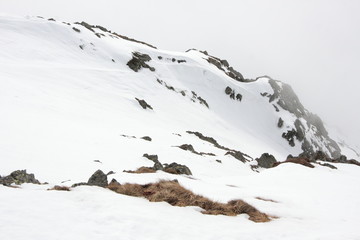 View from Sněžka ( Snezka )