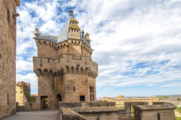 Fototapeta premium Olite Castle, Navarre