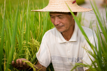 Chinese peasant