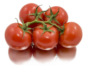 Five ripe tomatoes on a branch isolated on white background