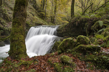 Paisaje