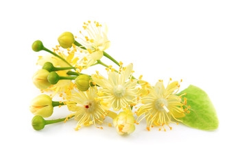 linden flowers