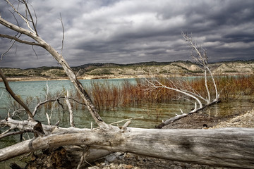 Pantano