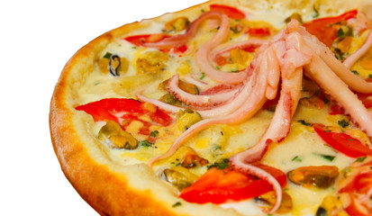 pizza isolated a white octopus cheese food italian tomato meal f