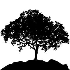tree at hill silhouette vector