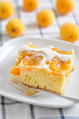 Marillenkuchen, Aprikosenkuchen