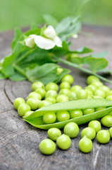 Fresh green peas on an old wooden background