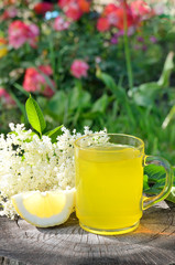 Healthy and delicious elderflower tea or lemonade