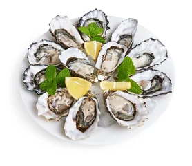 Poster dozen oysters on white plate © Lev