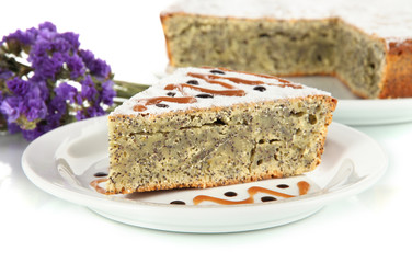 Delicious poppy seed cake isolated on white