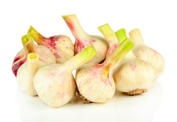 Fresh garlic, isolated on white