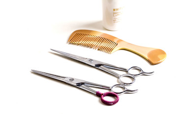 scissors and combs on white background