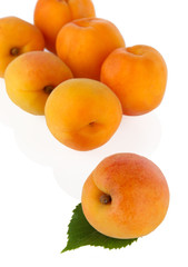 Apricots on white