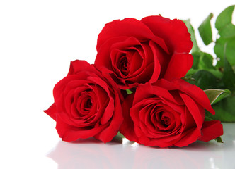 Beautiful bouquet of roses isolated on white
