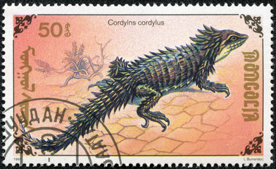 stamp printed by Mongolia, shows lizard