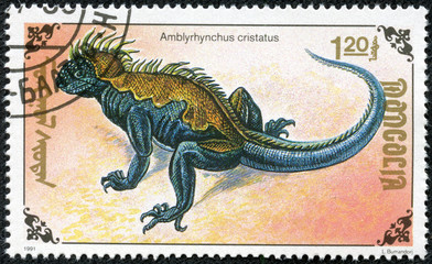 stamp printed by Mongolia, shows lizard