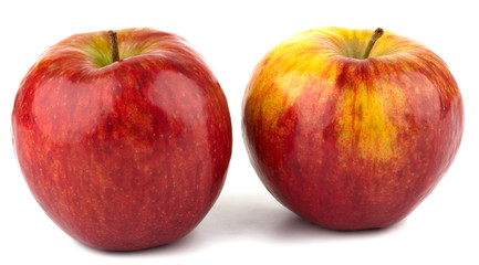 Ripe red apple iIsolated on white background