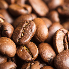Coffee beans background