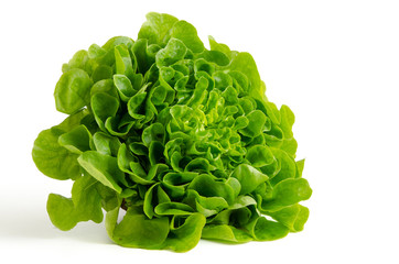 Salanova - Kopfsalat