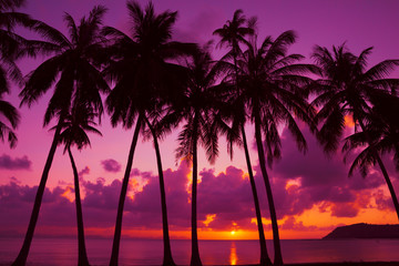 Fototapeta na wymiar Palm trees silhouette at sunset on tropical island, Thailand