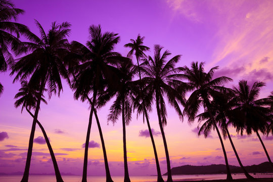Tropical sunset over sea with palm trees, Thailand