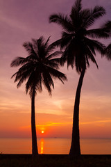 Beautiful tropical sunset with palm trees silhoette