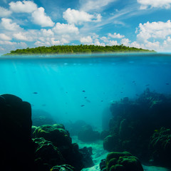 Tropical underwater shot splitted with island and sky