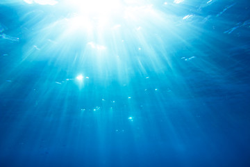 Underwater shot with sunrays and fishes in deep tropical sea