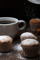 Cupcakes sprinkle with sugar powder