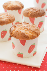 Fresh cupcakes chiffons