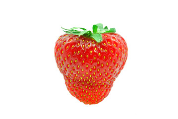 truskawka na białym tle