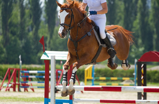 equestrian show jumping