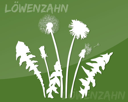 L&ouml;wenzahn Vektor