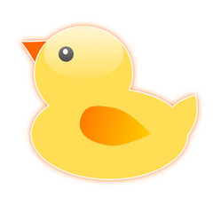 Cute duck
