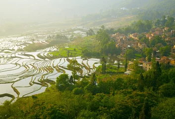 Foto op Canvas Rice terraces © SJ Travel Footage