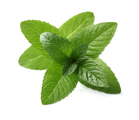 Fresh mint leaves