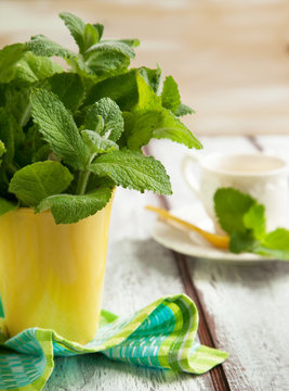 Fresh mint in cup