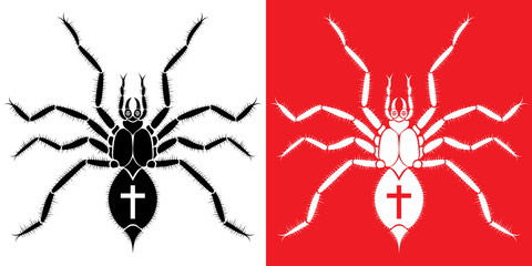 Spider Silhouette
