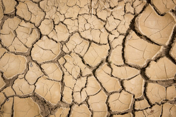 Terra arsa