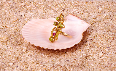 Beautiful exotic shell with golden  ring