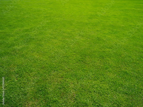 "grüner Rasen" Stockfotos und lizenzfreie Bilder auf Fotolia.com - Bild