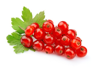 Red Currant