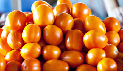 photo of very fresh tomatoes