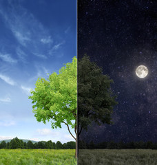 Day and night concept