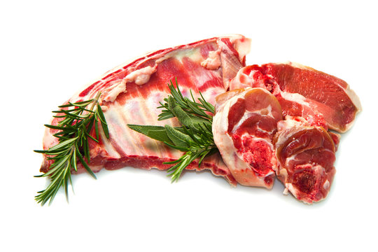 agnello 