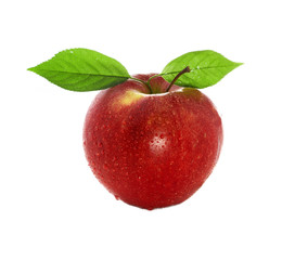 fresh and wet red apple with green leaves