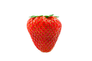 truskawka na białym tle