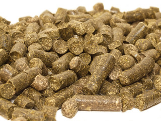 pile of herbs granules. food for horse and farm animal